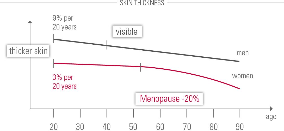 Skin thickness diagram